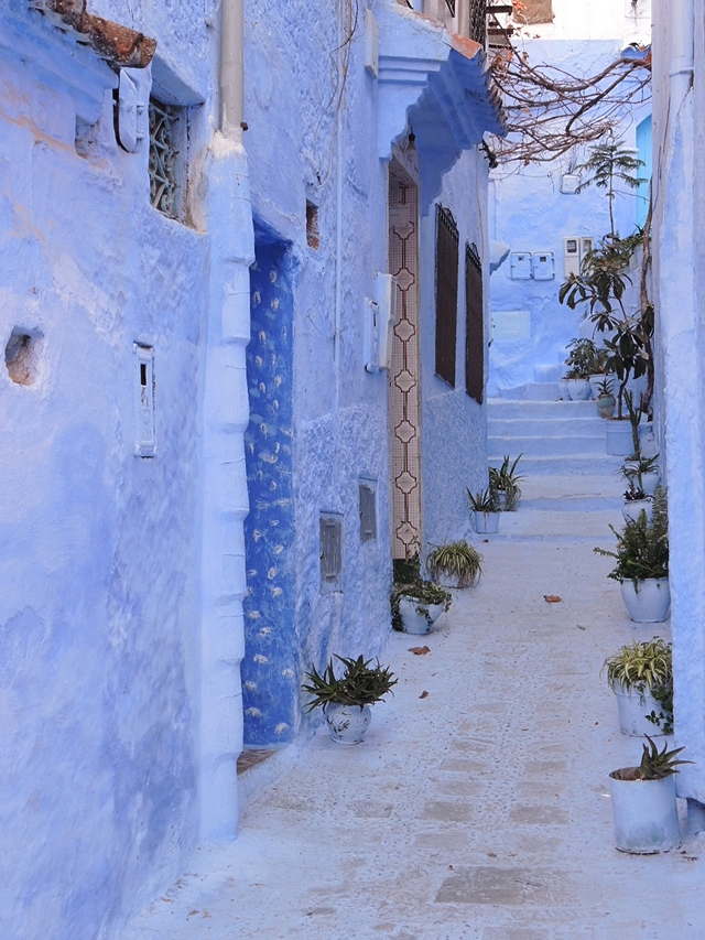 Marokko : veel blauw in Chefchaouen