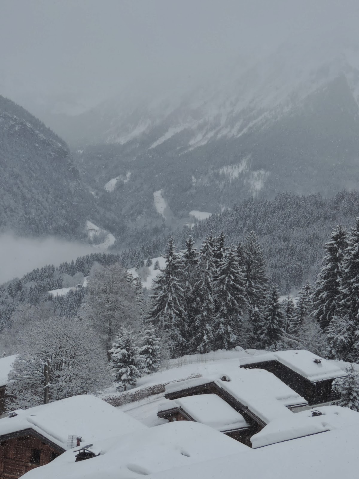 Le Dimanche forte chute de neige 30 centim¨tres de poudreuse le chasse neige n est pas passé jusqu au chalet impossible de bouger la voiture