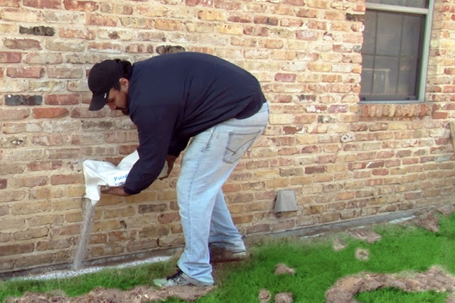 Subterranean Termites treatment