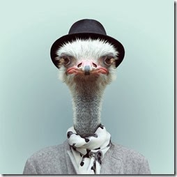 .com/img/b/R29vZ2xl/AVvXsEjo_0_wBfuQkP0OFopTCkJGNAZbGHgxivKLj-P0aMBrstZInEDukROLt1AUc50qPkcoQXvJSjDyJVk9mXsQqLiU91T8Btb40MXlTq7qXml4jH3JE_Am5mPRcZgOHB4ITg_QQmmgscOA1Isz/