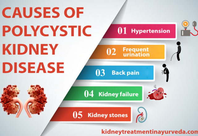 Kidney disease treatment in Ayurveda