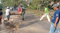 Antisipasi Kerawanan, Babinsa KelurahanTettikenrarae Gotong Royong Bersama Masyarakat Tebang Pohon Tua di Pinggir Jalan 