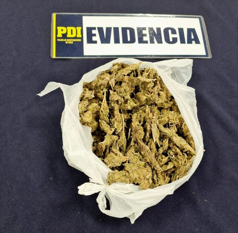 Joven de 21 años fue detenido portando una mochila con medio kilo de cannabis sativa