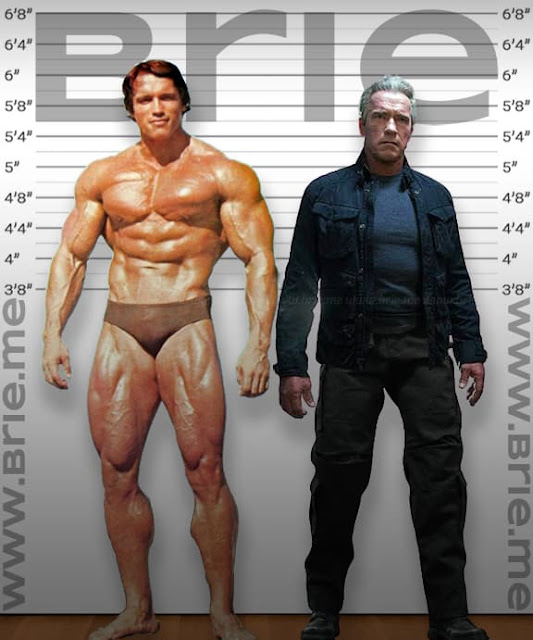 Arnold Schwarzenegger height comparison with old Arnold Schwarzenegger