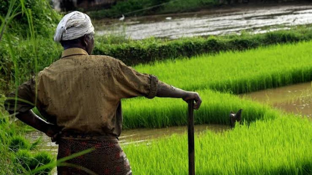 Current weather pattern due to climate change; may affect agri, Horti Sectors, say Experts