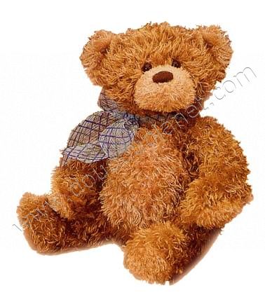 35+ Asal Usul Boneka Teddy Bear, Terbaru!