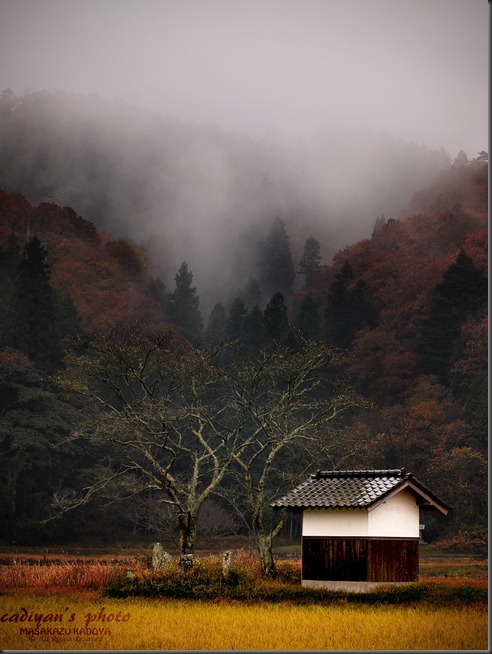 E-PL1_2012-11-23_009