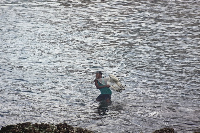 Pode jogar a rede que tem peixe