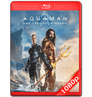 AQUAMAN Y EL REINO PERDIDO (2023) FULL 1080P HD MKV ESPAÑOL LATINO