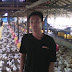 Ayam Petelur atau Ayam Pedaging?