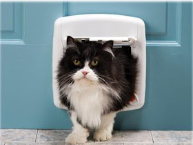 Sir Isaac Newton, penemu catflap atau pintu kucing