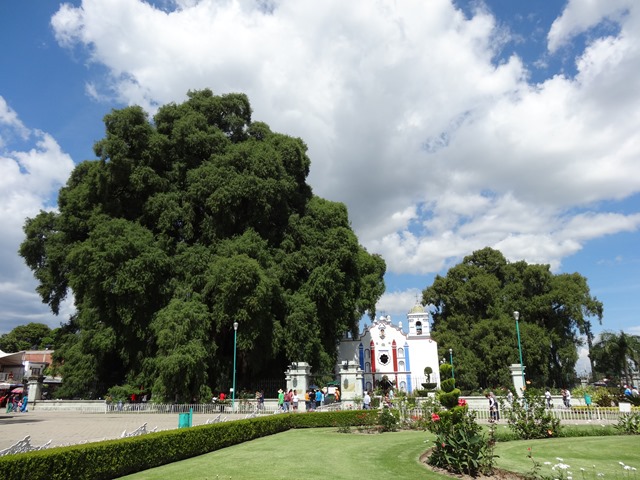 DSC05083