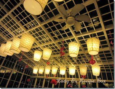IMG_1624 IMG_1624