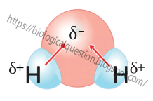 Polarity of water molecule