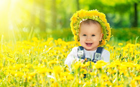 Anglebaby-In-Yellow-Flowers-photos