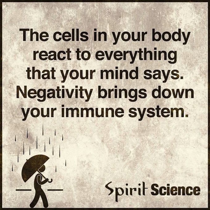 Mindset VS Our Immune System