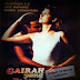 Gairah yang Panas (1996)