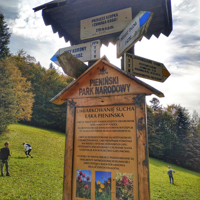 Pieniński Park Narodowy, polana do wypoczynku, widok na okolicę