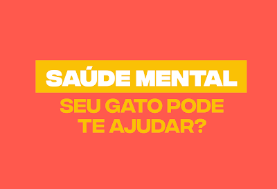 Contato diário com gatos faz bem para a saúde mental 