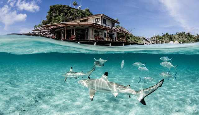 penginapan terapung Misool Eco Resorts papua