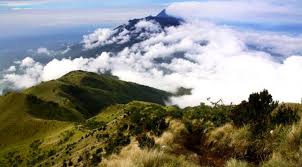 Misteri di Gunung Lawu Karanganyar Jawa Tengah Mitos dan Misteri di Gunung Lawu Karanganyar Jawa Tengah