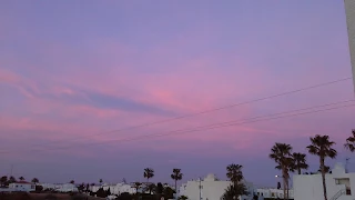 a very pink and purple sunset outside today
