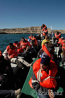 Curso de Guia Ballenaro  en Península Valdés