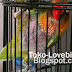 5 Perawatan Eksklusif Untuk Lovebird Mabung 