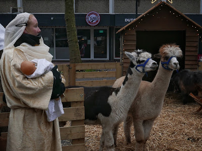 Levende kerststal, Zevenaar, december 2022