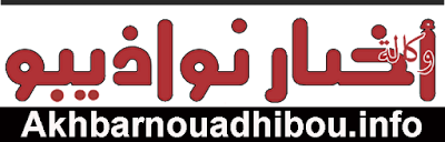 موقع وكالة أخبار نواذيبو يتصدر تصنيف مواقع الشمال الموريتاني
