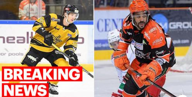 New twist emerges after ice hockey star killed in 'freak accident'