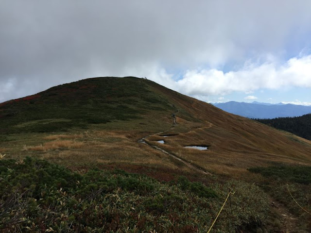 牛ヶ岳山頂への道