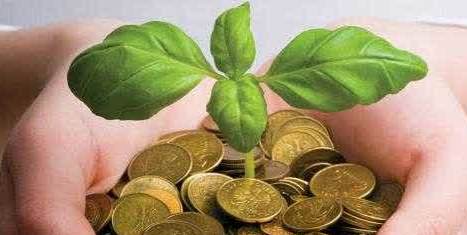 Cara investasi cara klasik dan cara investasi berkebun emas