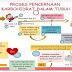 5 Macam Proses Pencernaan Pada Manusia Beserta Penjelasannya !