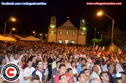 porcisão 136