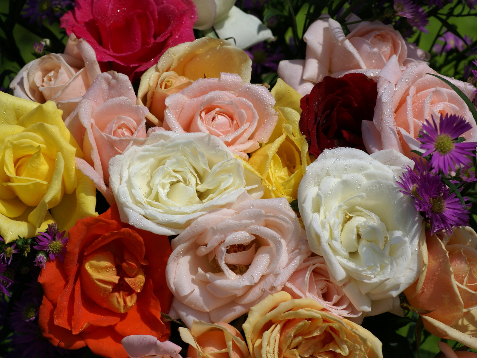 fotos de ramos de flores preciosas - Jardín de Flores y Poesías Facebook