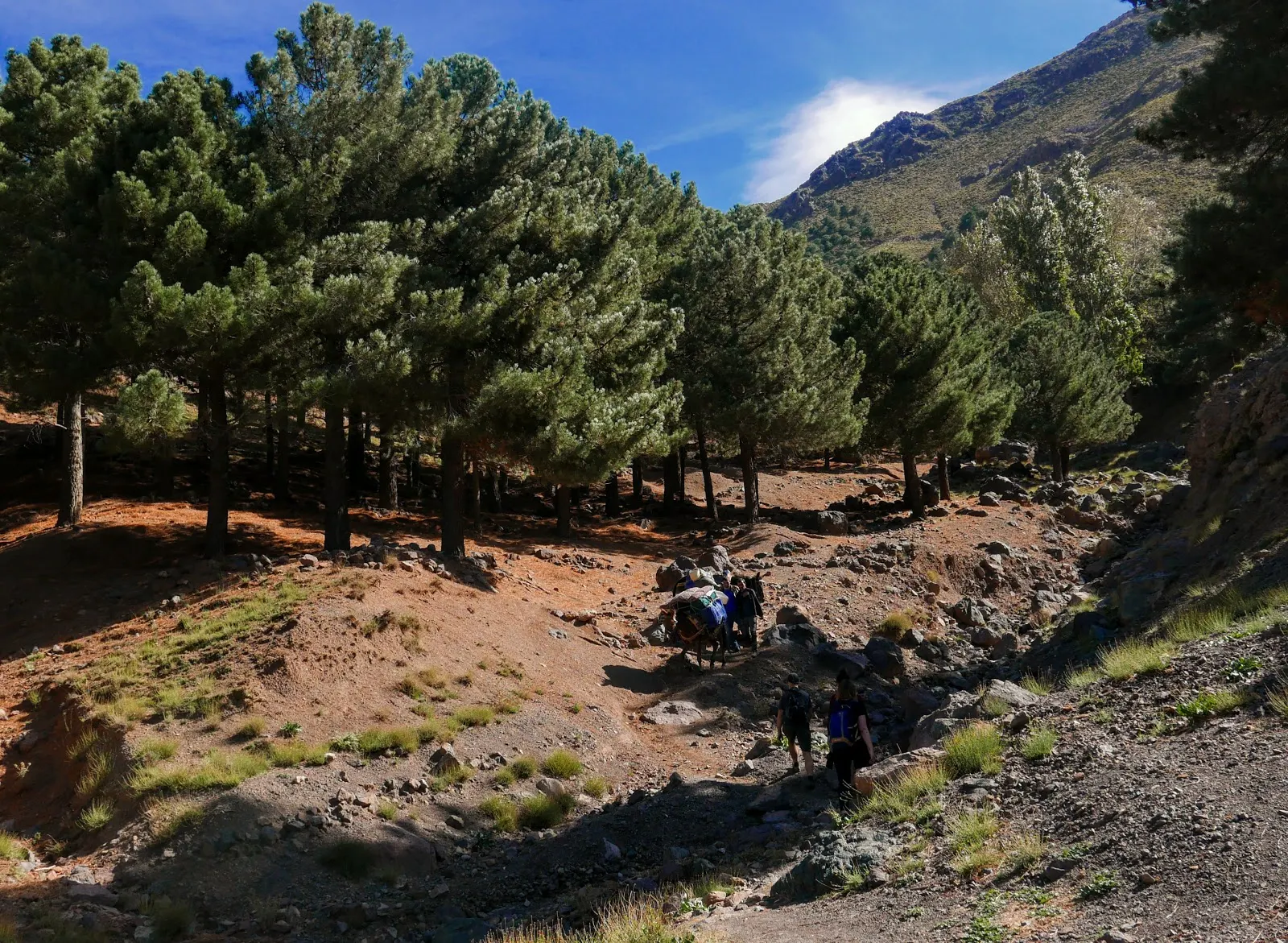 maroko, atrakcje maroko, atlas wysoki, gory atlas, trekking maroko, jebel toubkal