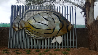 72 BIG Fish from the 2006 Commonwealth Games | BIG Meyer's Butterfly Fish