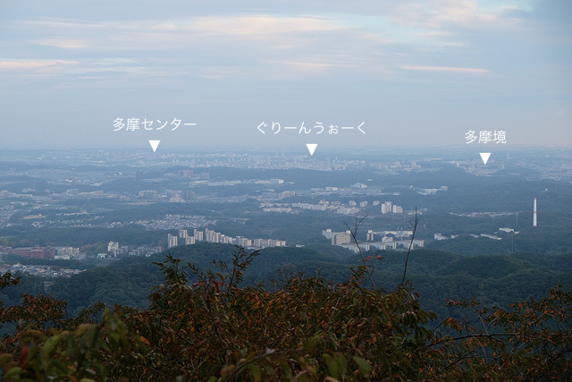 DSCF4727-高尾山2