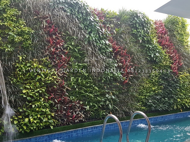 VERTICAL GARDEN INDONESIA SPESIALIS JASA PEMBUATAN VERTICAL GARDEN DI GRESIK DAN DI SELURUH WILAYAH GRESIK DENGAN TENAGA YANG PROFESIONAL DAN DAPAT DI PERCAYA YANG SELALU MENGUTAMAKAN SEBUAH MUTU DAN KUALITAS PEMASANGAN VERTICAL GARDEN/TAMAN DINDING, JASA TUKANG TAMAN VERTICAL GRESIK, JASA VERTICAL GARDEN GRESIK