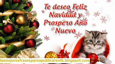 Frases De Año Nuevo: Te Deseo Feliz Navidad Y Próspero