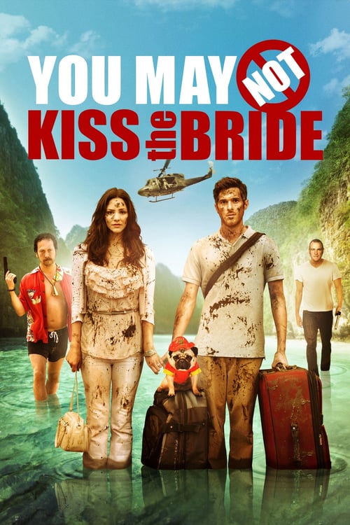 [HD] You May Not Kiss the Bride 2011 Pelicula Online Castellano