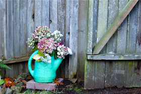 hydrangea, hydrangea blooms, hydrangeas blooms drying, cut hydrangea blooms