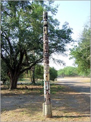 Estero Llano Grande Sp71