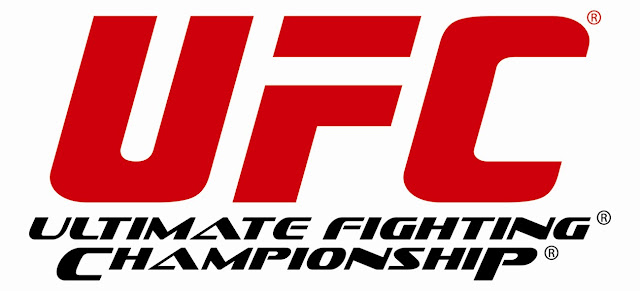 UFC 235 live Stream