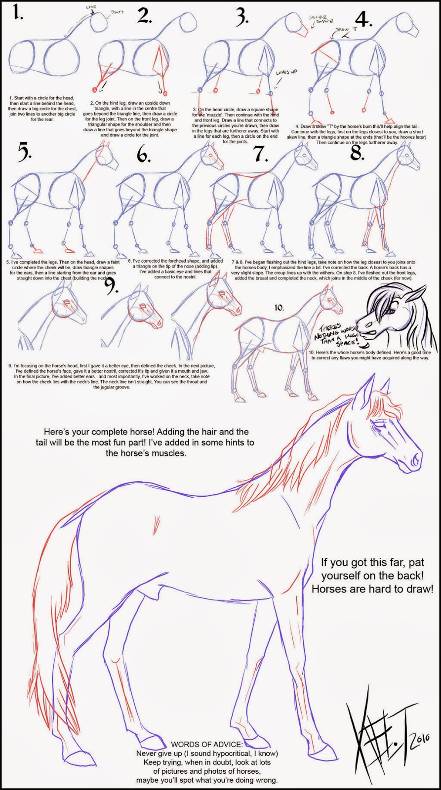 SERIOUSLY HORSING AROUND: Fun graphic on HOW TO DRAW A HORSE