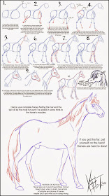SERIOUSLY HORSING AROUND: Fun graphic on HOW TO DRAW A HORSE
