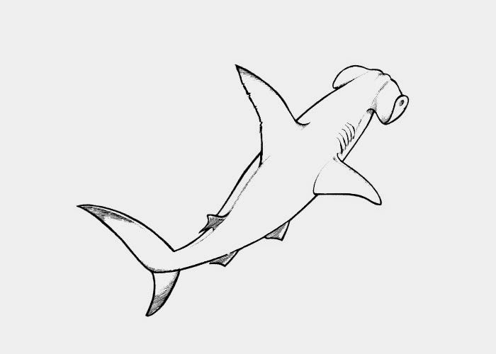A cute hammerhead shark waiting to be colored
