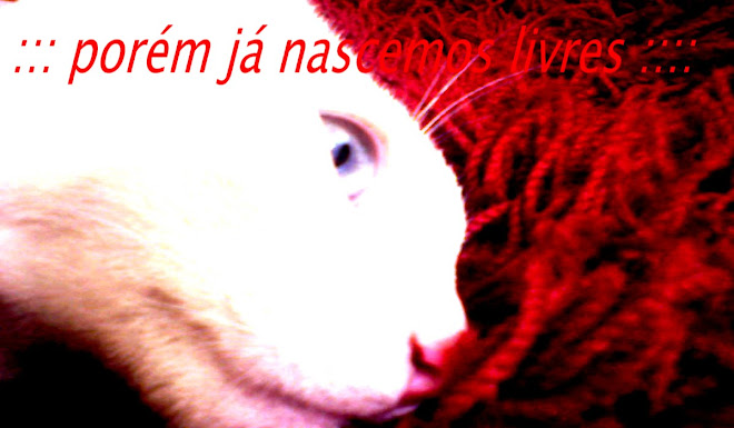 ::: VιяαLαtαLιƒєStуℓє :::