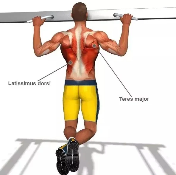 Wide Pull-Up